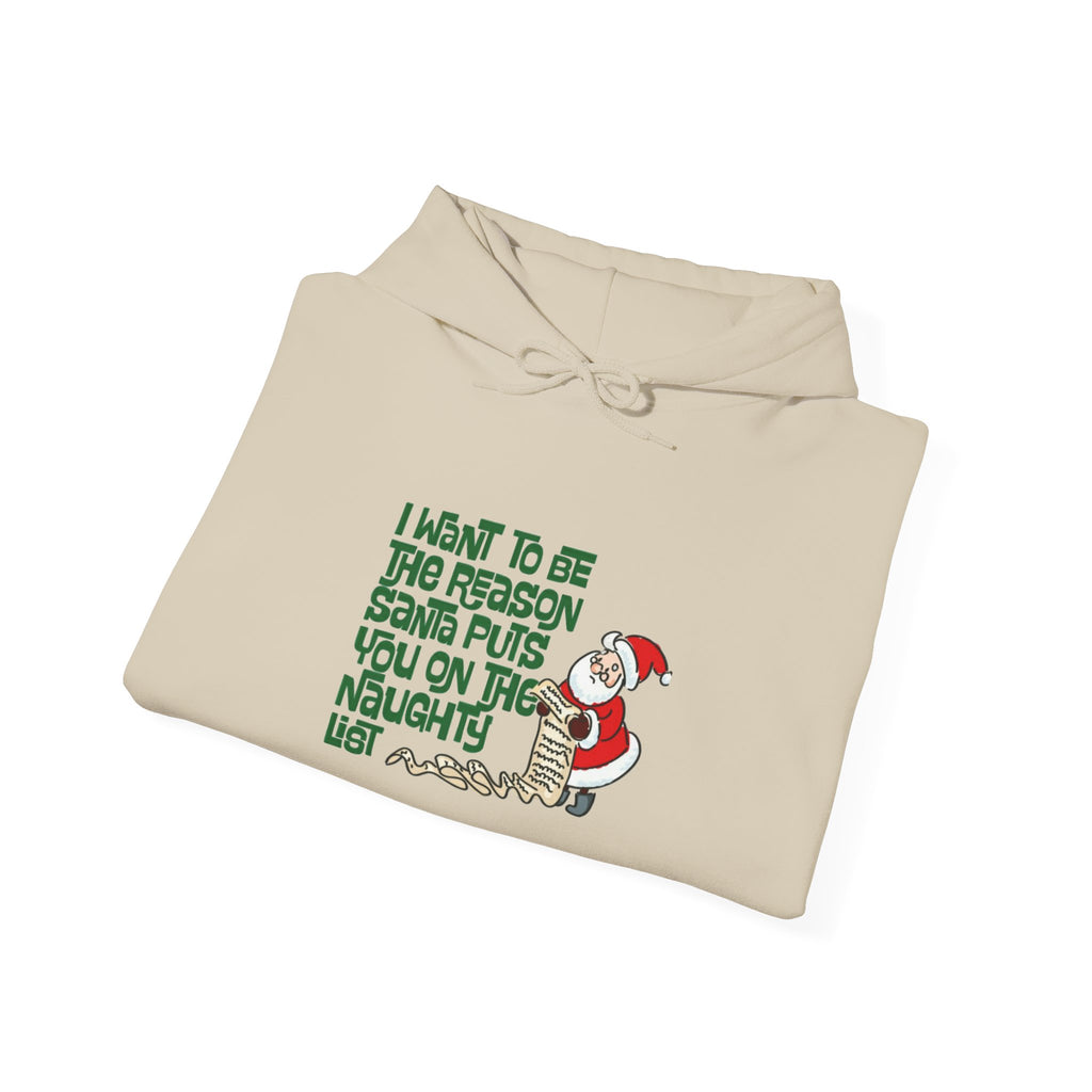 Naughty List Hoodie